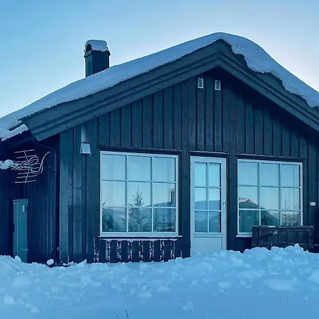 Ii Hotell Nesbyen